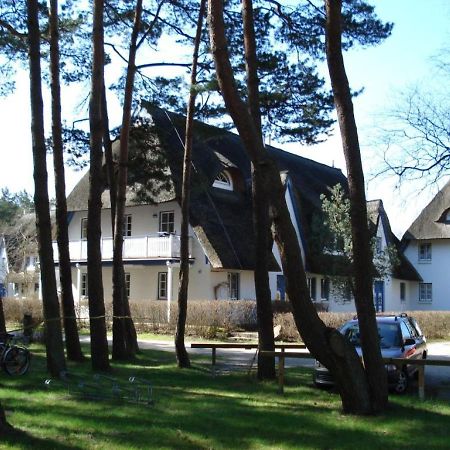 Zingst Achtern Diek 12D Elly 外观 照片