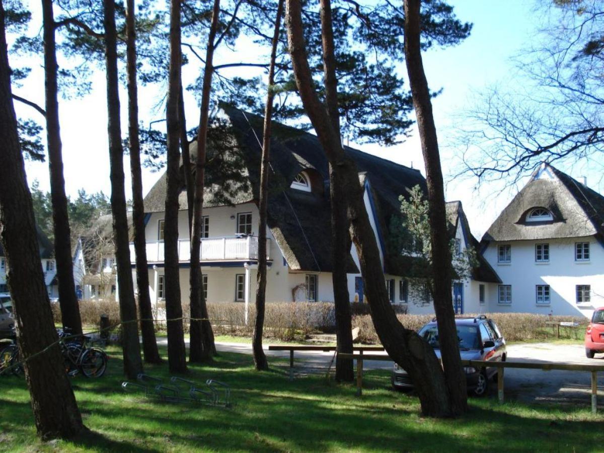 Zingst Achtern Diek 12D Elly 外观 照片