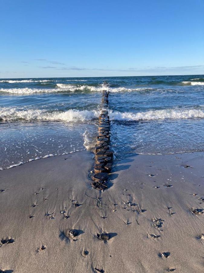 Zingst Achtern Diek 12D Elly 外观 照片